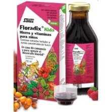 Floradix kids 250 ml sabor frambuesa