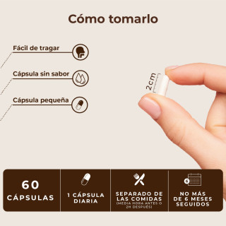 Kobho Ácido Alfa Lipoico 60 cápsulas - Antioxidantes y Coenzimas | STG Farma