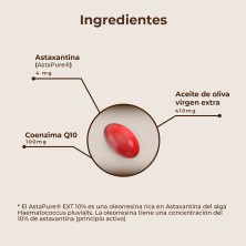 Kobho Astaxantina + CoQ10 60 cápsulas