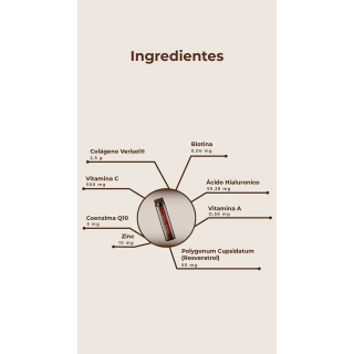 Kobho Colágeno + Ácido Hialurónico 20 viales - Colágeno | STG Farma
