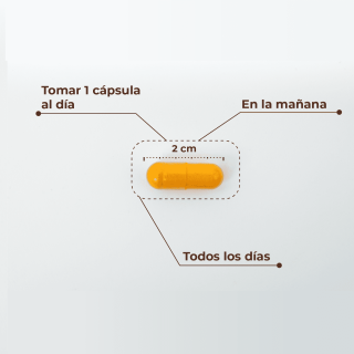 Kobho Cúrcuma + Pimienta Negra 60 cápsulas - Cúrcuma | STG Farma