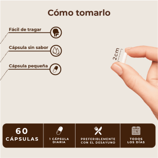 Kobho Hair & Nail Booster 60 cápsulas - Pelo y uñas | STG Farma