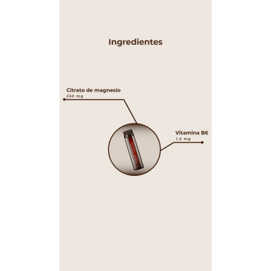 Kobho Magnesio + Vitamina B6 20 viales