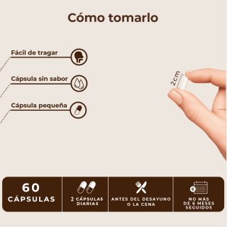 Kobho Pre Post Probiótico 60 cápsulas - Probióticos | STG Farma