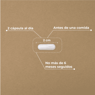 Kobho Pre Post Probiótico 60 cápsulas - Probióticos | STG Farma