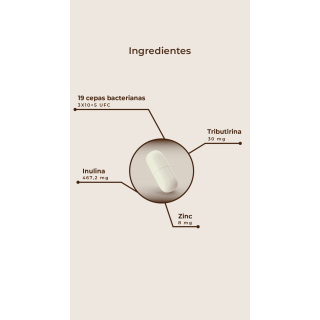 Kobho Pre Post Probiótico 60 cápsulas - Probióticos | STG Farma