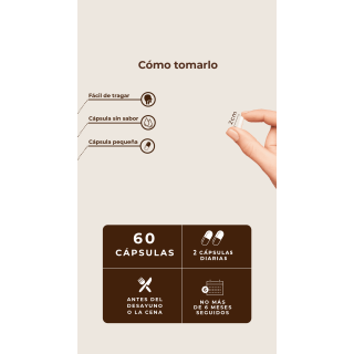 Kobho Pre Post Probiótico 60 cápsulas - Probióticos | STG Farma