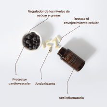 Kobho Trans Resveratrol + Quercetina 60 cápsulas