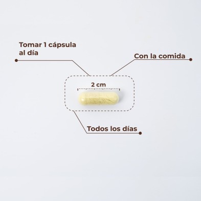 Kobho Trans Resveratrol + Quercetina 60 cápsulas