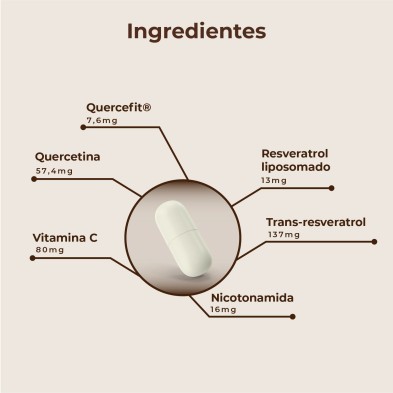 Kobho Trans Resveratrol + Quercetina 60 cápsulas