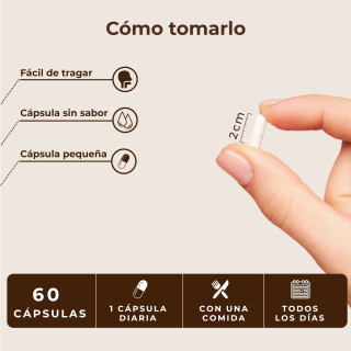 Kobho Trans Resveratrol + Quercetina 60 cápsulas - Resveratrol | STG Farma