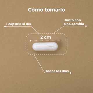 Kobho Vitamina C Reishi 60 Cápsulas - Vitamina C | STG Farma