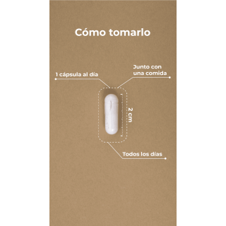 Kobho Vitamina C Reishi 60 Cápsulas - Vitamina C | STG Farma