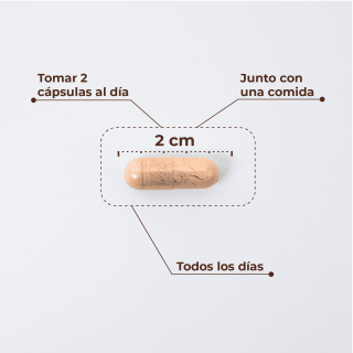 Kobho W Balance 60 Cápsulas - Hormonal y salud íntima | STG Farma