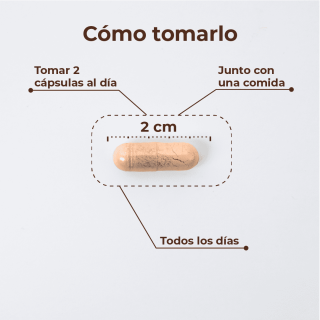 Kobho W Balance 60 Cápsulas - Hormonal y salud íntima | STG Farma