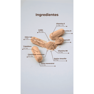 Kobho W Balance 60 Cápsulas - Hormonal y salud íntima | STG Farma