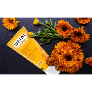 Weleda Caléndula Crema de Pañal 75 ml - Baño | STG Farma