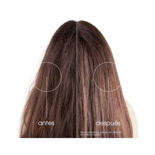 Klorane Higo de Barbaria Mascarilla 250 ml - Mascarillas y acondicionadores | STG Farma