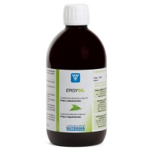 ErgySil 500 ml