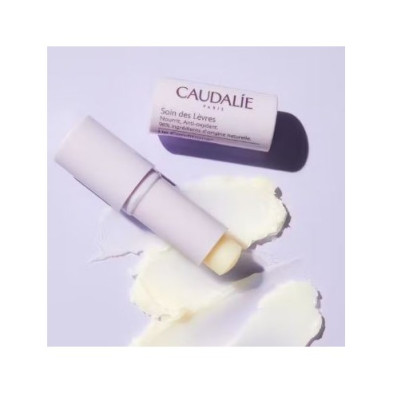 Caudalie Labial Soin des Lèvres 4.5 g