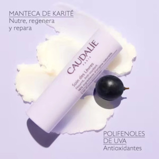 Caudalie Labial Soin des Lèvres 4.5 g - Labios y nariz | STG Farma