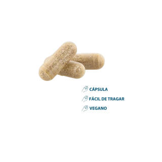 Ducray Anacaps Reactiv Cabello y Uñas 90 cápsulas - Pelo y uñas | STG Farma