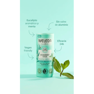 Weleda Desodorante Stick Eucalipto Menta 50g - Desodorantes | STG Farma