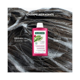 Klorane Higo de Barbaria Champú Duplo 400 ml - Champú | STG Farma