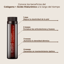 Kobho Colágeno + Ácido Hialurónico 40 viales