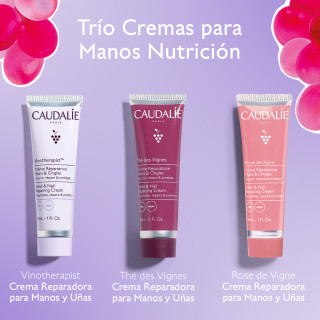 Caudalie Cofre Trío de Manos - Regalos | STG Farma