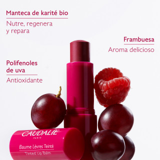 Caudalie Labial Baume Levres con Color 4.5 g - Labios y nariz | STG Farma