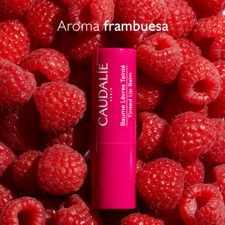 Caudalie Labial Baume Levres con Color 4.5 g - Labios y nariz | STG Farma