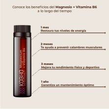 Kobho Magnesio + Vitamina B6 Duplo 40 viales