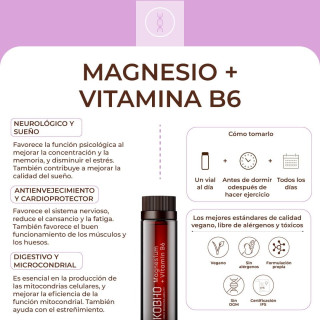 Kobho Magnesio + Vitamina B6 Duplo 40 viales - Magnesio | STG Farma