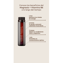 Kobho Magnesio + Vitamina B6 Duplo 40 viales