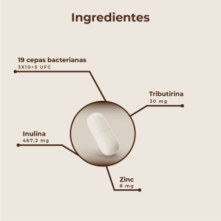 Kobho Pre Post Probiótico 90 cápsulas - Probióticos | STG Farma