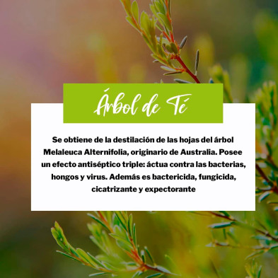 Saluvital Aceite Árbol de Té 16 ml