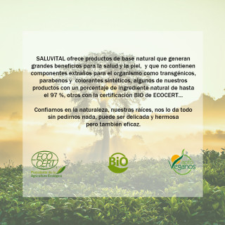 Saluvital Aceite Árbol de Té 16 ml - Aceites | STG Farma