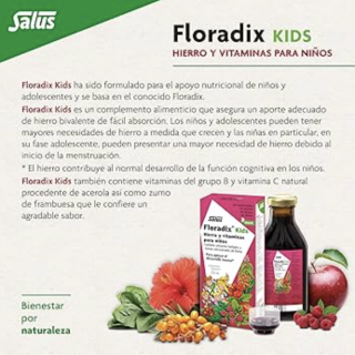 Floradix Kids Frambuesa 250 ml - Cansancio | STG Farma