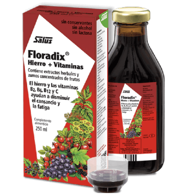 Floradix 250 ml