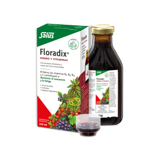 Floradix Floravital 250 ml