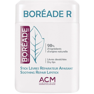 Boreade R Stick Reparador 2.9g