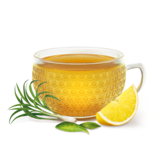 Yogi Tea Absoluto Placer 20 Infusiones - Infusiones de Jengibre | STG Farma