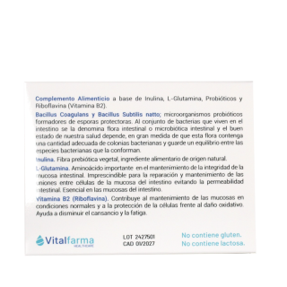 Lactobac 30 cápsulas - Probióticos | STG Farma