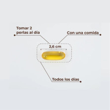 Kobho Omega 3 XL 90 perlas