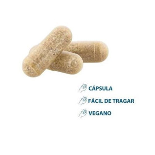 Ducray Anacaps Expert Caída Crónica 90 cápsulas - Pelo y uñas
