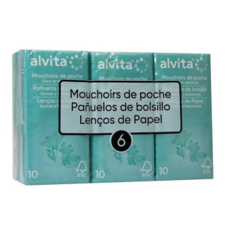 Alvita Pañuelos de Bolsillo 6 paquetes - Nasal