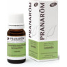Pranarom Aceite Esencial de Lavanda 10 ml