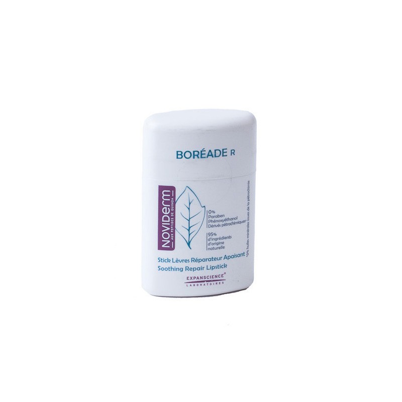 Boreade R stick reparador 2.9 gramos