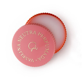 Gal Vaselina Neutra Perfumada 35g - Labios y nariz | STG Farma